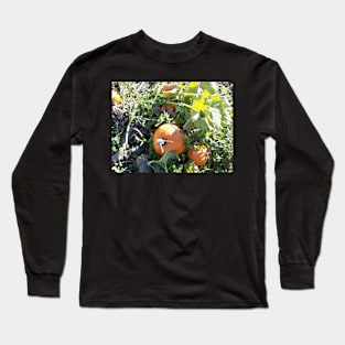 Pumpkin Long Sleeve T-Shirt